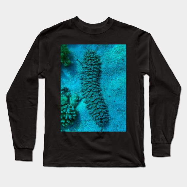 Sea cucumber Long Sleeve T-Shirt by likbatonboot